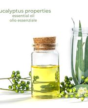 In Suisse Sagl Bild 11