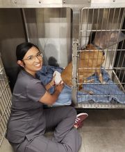 Thrive Pet Healthcare - Falcon image 5