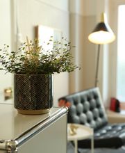 Swiss Dental Healthcare Bild 2