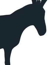 Boutique Sylvie Thiriez image 5