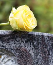 Naturstein Butler GmbH & Co. KG Bild 1