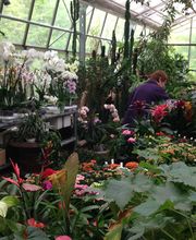 Blumen Müller Bild 14