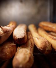Bäckerei
Besuchen Sie unsere 5 Sterne Bäckerei Tackmann. Wir bieten jeweils 16 Sitzplätze innen am Fenster und außen an, falls das Wetter mitspielt. Unsere Mitarbeitenden beraten Sie gerne zu allen Inhaltsstoffen unserer Brötchen, Brote, Baguettes und Brezeln. Gönnen Sie sich belegte Brötchen oder herzhafte Snacks als kleine Mahlzeit oder genießen Sie süßes Gebäck, Kuchen und Torten zu einem leckeren Kaffee. Letzteren bereiten wir auch zum Mitnehmen vor.