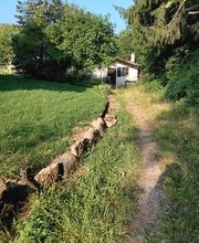 A&M PAYSAGE Sàrl Bild 1