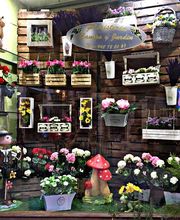 Floristería Campo y Jardín imagen 2