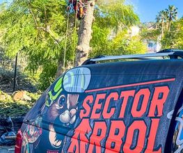 Sector Arbol imagen 12