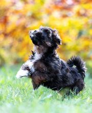 Sarah Genuit Fotografie Bild 10