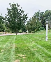 Brace Lawn Care image 16