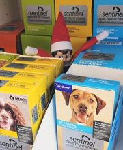 West Park Animal Hospital image 20