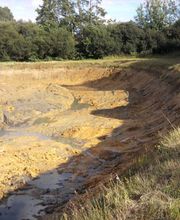 Avenel Michel image 9