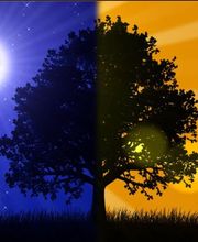 Pompes Funèbres Robin image 11