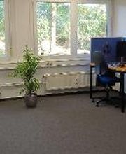 Ein heller Büroraum mit Arbeitsplätzen, getrennt durch blaue Trennwände. Jeder Platz hat Monitor, Bürostuhl und Headset. Vor den großen Fenstern steht eine Topfpflanze, draußen sind Bäume und Büsche zu sehen. Der Boden ist mit grauem Teppich ausgelegt.