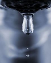 Baumgartner Augst AG Bild 5