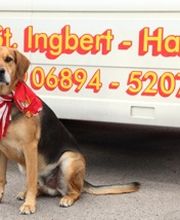 Oel Schneider GmbH Bild 4