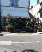 Harmonie fleurs image 7