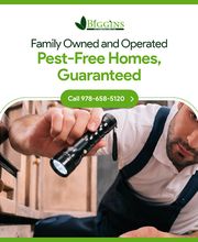 Biggins Exterminating image 3