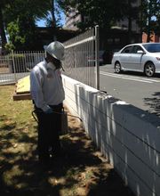 Dewey Pest & Termite Control image 11