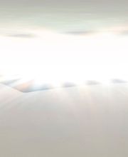 Wise Solution GmbH Bild 10