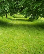 Ted Multiservices image 15