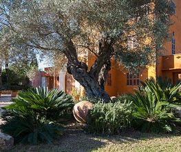 Jardinería Son Servera imagen 8