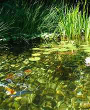 Art & Giardini Sagl Bild 3