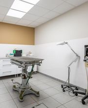 Clinique Vétérinaire Mon Véto Bourg-achard image 7