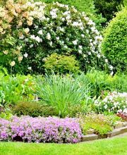 Sopa Haus & Grundstücksservice Bild 2