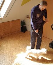 Hundeschule HundZunft Bild 6