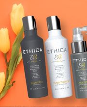 F|S Cut & Color (Fantastic Sams) image 1