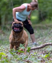 Agil'Canin 36 image 13