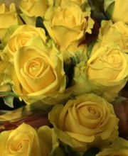 Unser Grundgedanke baut auf einem langjährigen Vertrauensverhältnis zwischen Kunden, Lieferanten, eigenen Mitarbeitern und Handelspartnern.