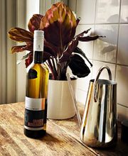 Weißwein | Kapellenhof5 - Next Generation | Qualitätsweine