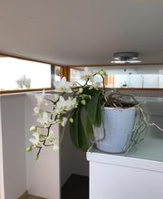 Kleintierpraxis Rhenus Bild 9