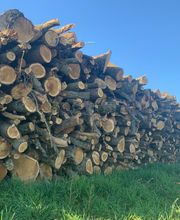 Baillet S.A.S. image 1