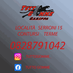 Tutto Gomme logo