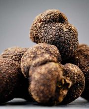 Mugello Tartufi immagine 4