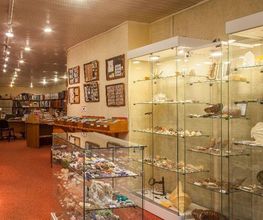 Espace Collections image 12
