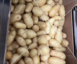 Les Frutamines image 16