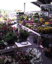 Bricomarché Commercy image 6