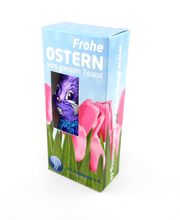 iDEA Werbewelt Bild 15