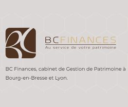 B.C Finances image 1