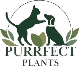 Purrfect Plants Patrick Völler