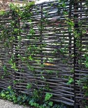 AB JARDIN SARL Bild 5