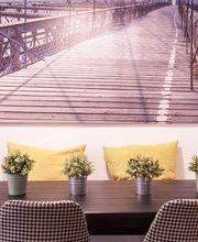 NOVA TE ASESORA imagen 10