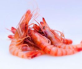 120602113.jpg