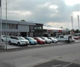 Bertoni Automobili SA Bild 1