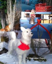 Jardinerie Villaverde image 12