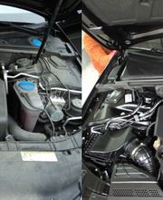 Autopflege Hirsch Bild 1