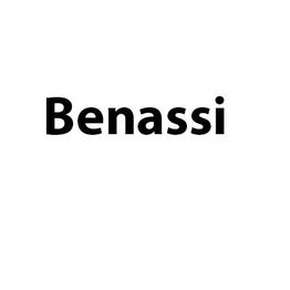 Benassi srl logo