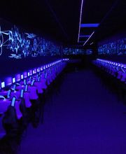 Laser Game Evolution image 2